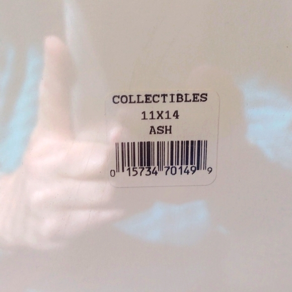 *BOGO* NWT Shadow Box Ash collectibles crafts memorabilia dried flowers frame - Picture 5 of 6